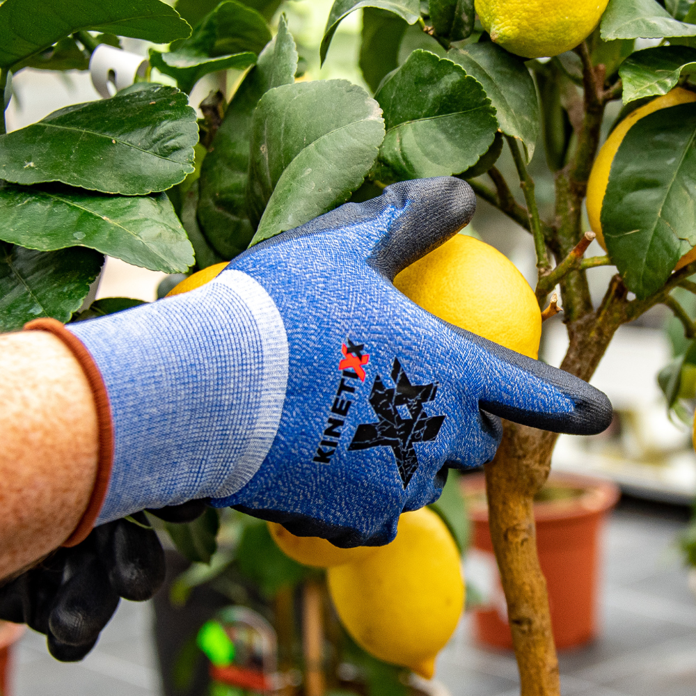 Kinetixx Touchscreen-fähige Arbeitshandschuhe X-Garden Kostenloser Versand