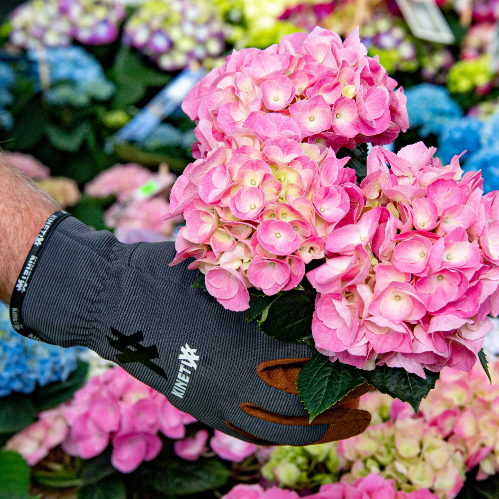 Kinetixx Spezielle Garten-Arbeitshandschuhe X-Planter Limitierter Zeitrabatt
