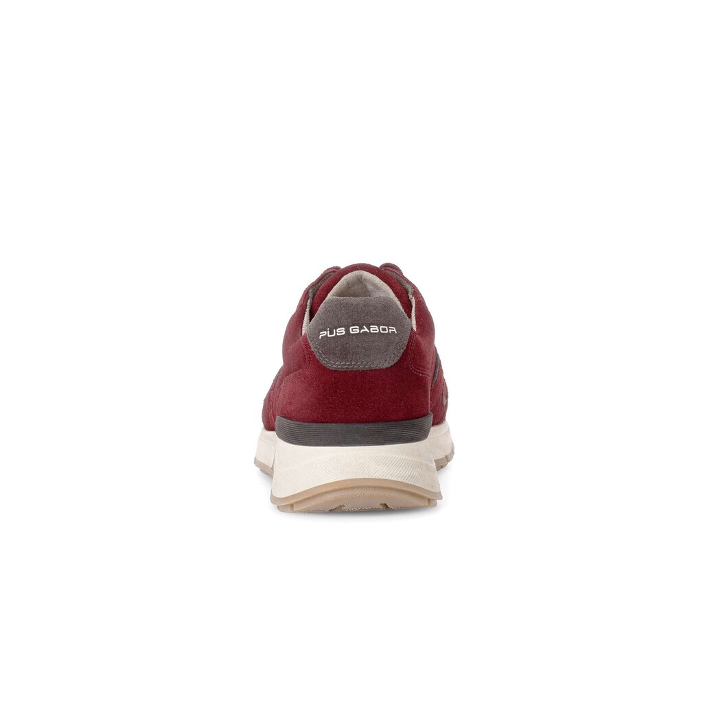 Pius Gabor Pius Gabor Sneaker low rot Hotsell