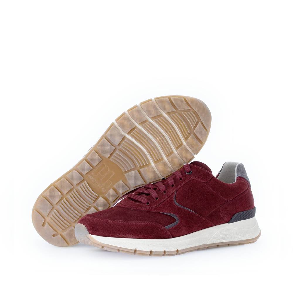 Pius Gabor Pius Gabor Sneaker low rot Hotsell