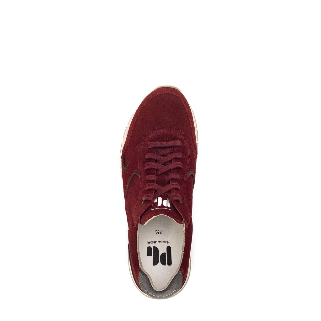 Pius Gabor Pius Gabor Sneaker low rot Hotsell