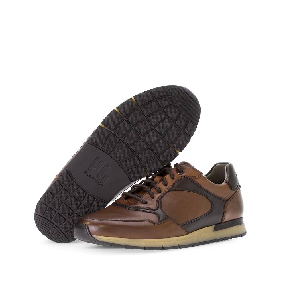 Pius Gabor Pius Gabor Sneaker low braun Im Verkauf