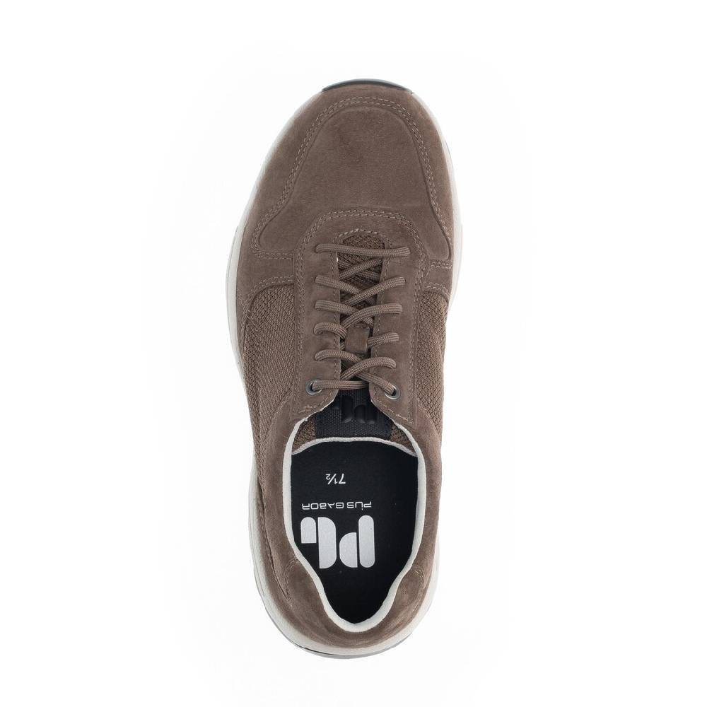 Pius Gabor Pius Gabor Sneaker low beige Räumungsverkauf