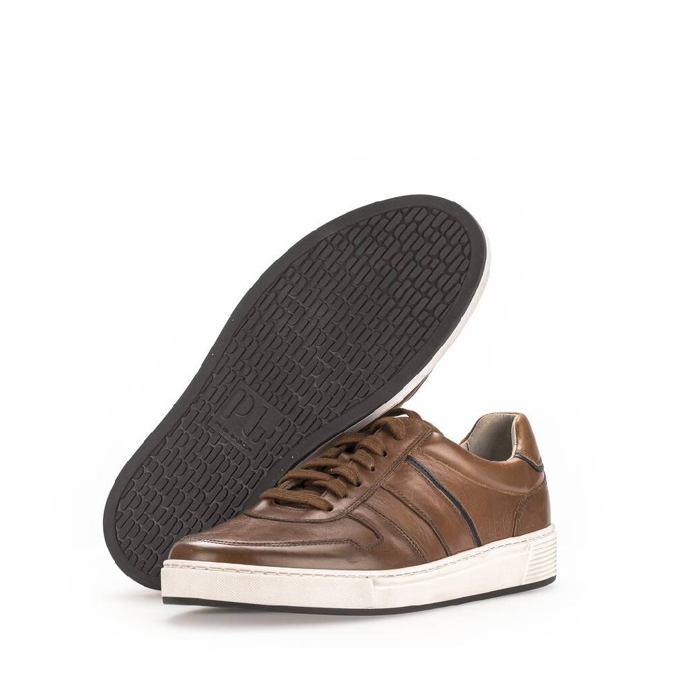Pius Gabor Pius Gabor Sneaker low braun Zeitlich begrenztes Angebot