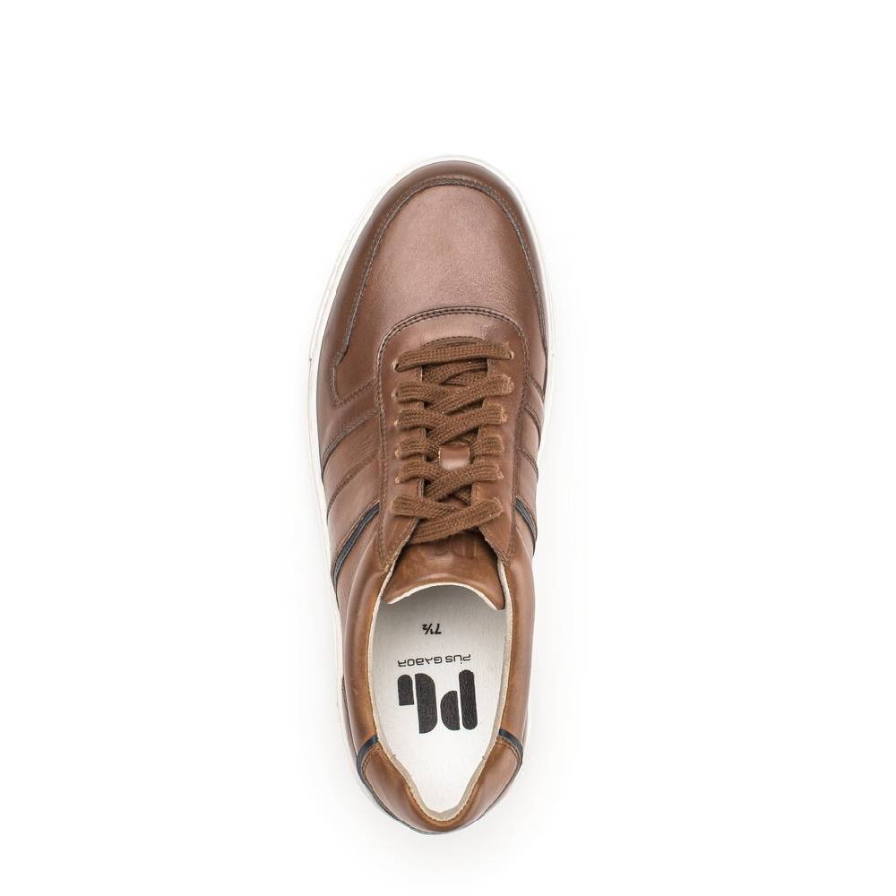 Pius Gabor Pius Gabor Sneaker low braun Zeitlich begrenztes Angebot