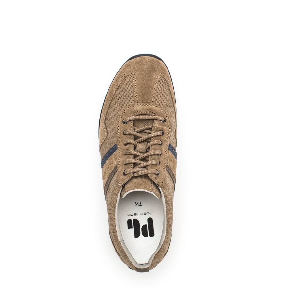 Pius Gabor Pius Gabor Sneaker low beige Exklusive Angebote