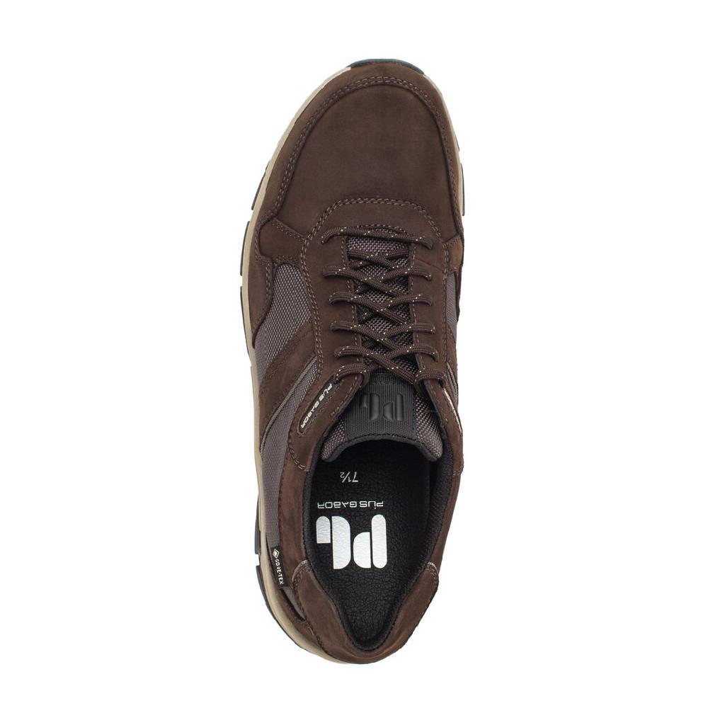 Pius Gabor Pius Gabor Sneaker low braun Online Shopping