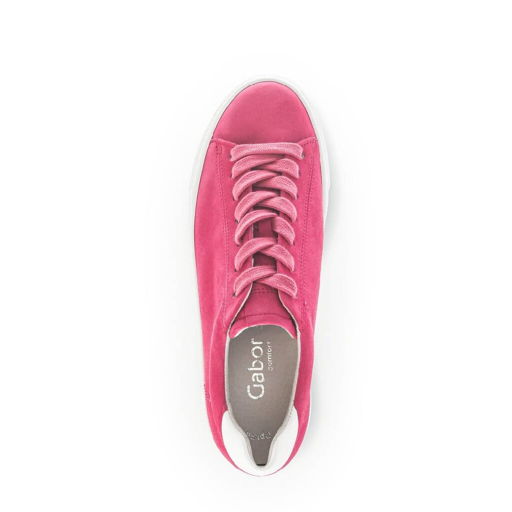 Pius Gabor Sneaker low pink Blitzverkäufe