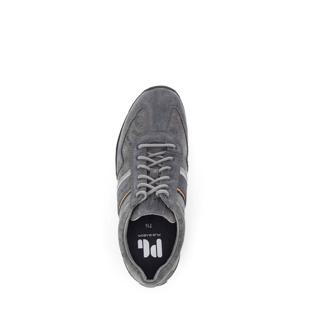 Pius Gabor Pius Gabor Sneaker low grau Räumungsverkauf