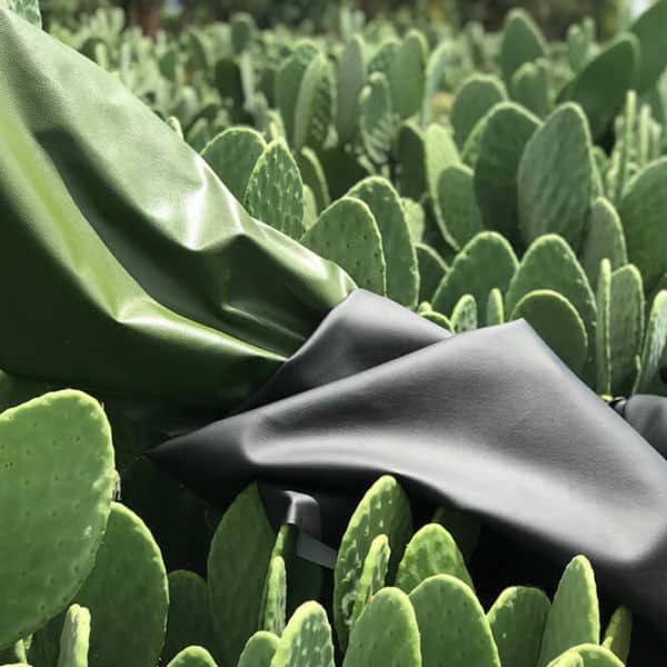 Pololo Veganer Kaktus Sneaker Schwarz Bis zu 50% Rabatt