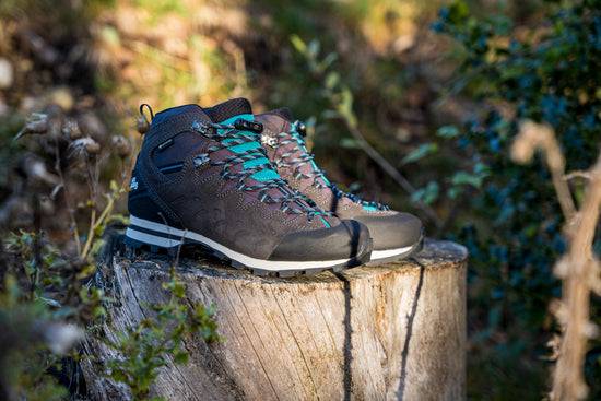 Schuhwerk Schwangau Hanwag Makra Light Lady GTX Begrenztes Angebot