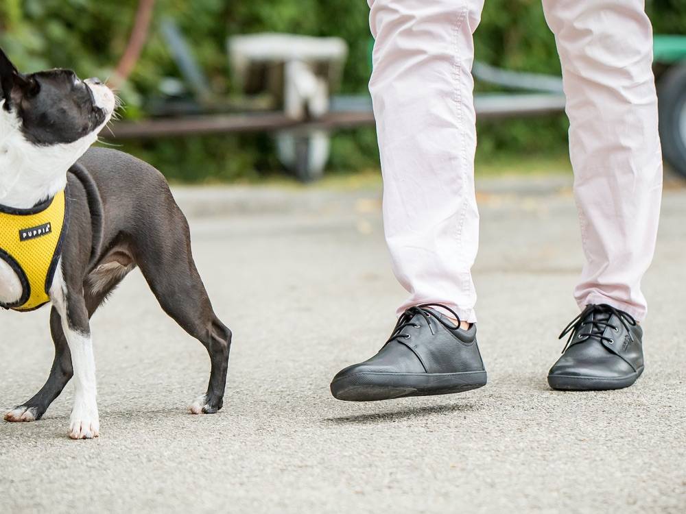 Sole Runner Pflegehinweise für SOLE RUNNER® Barfußschuhe Exklusivangebot