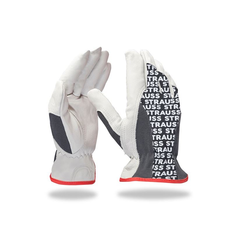 Strauss Nappaleder-Fahrer-Handschuhe Driver Profi Limitierter Zeitrabatt