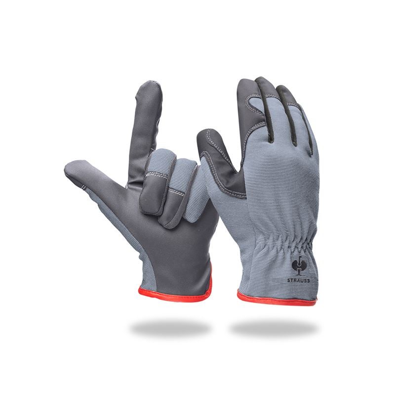 Strauss Montage-Handschuhe Intense Speichern exportieren