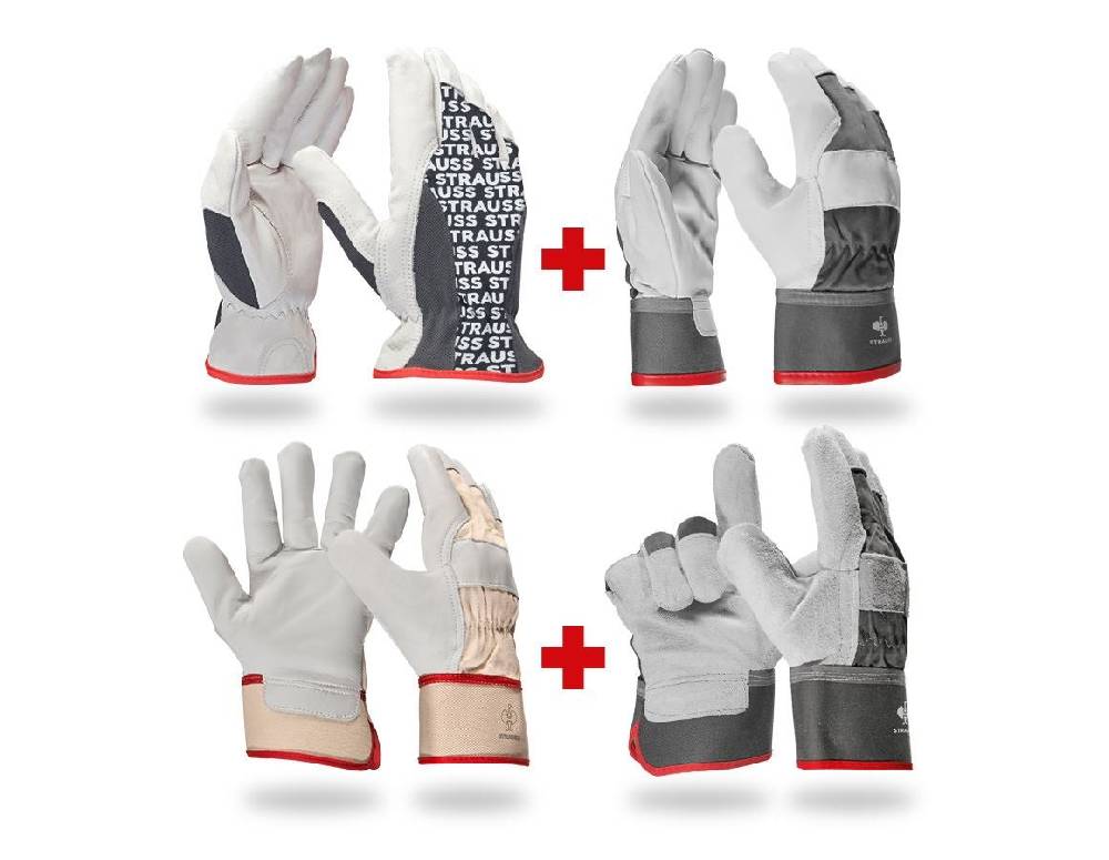 Strauss Handschuh- Profi Set Leder Speichern exportieren