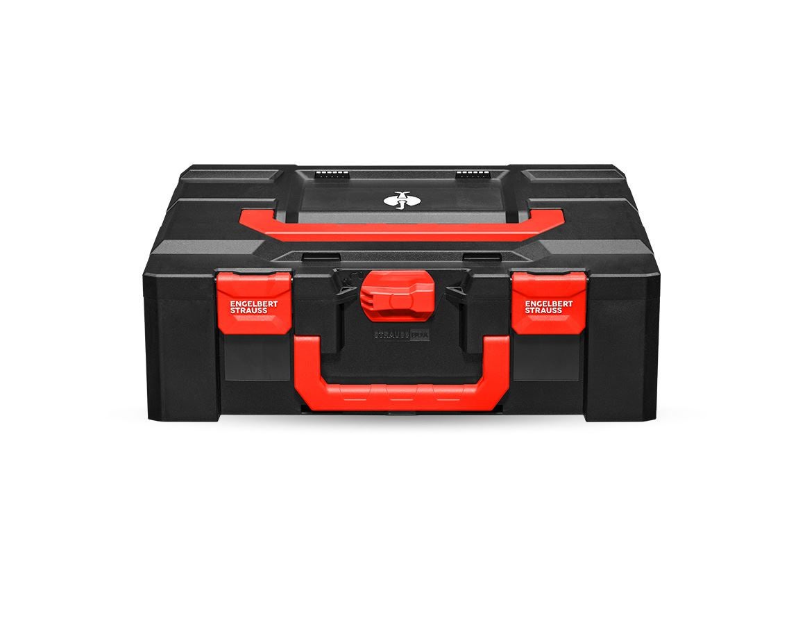 Strauss STRAUSSbox 165 large Großer Ausverkauf